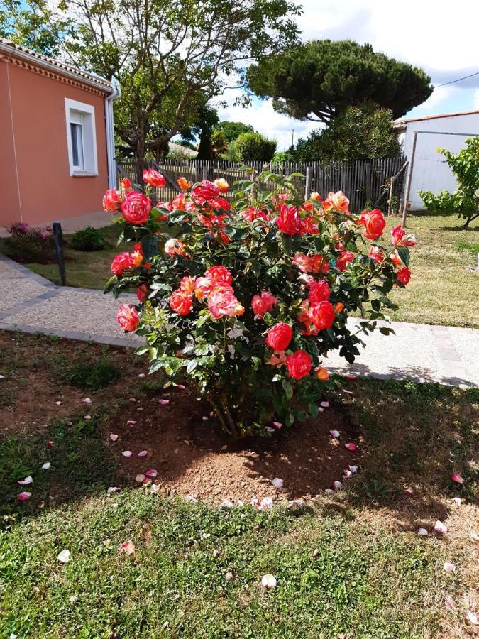 appartement indépendant à 10min des plages au calme proche O'gliss et O'funparken campagne La Jonchere Esterno foto